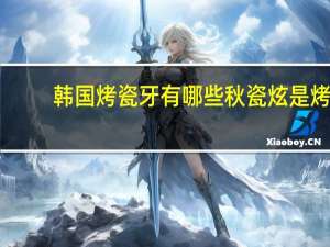 韩国烤瓷牙有哪些 秋瓷炫是烤瓷牙么