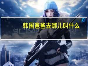 韩国爸爸去哪儿叫什么