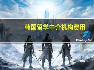 韩国留学中介机构费用