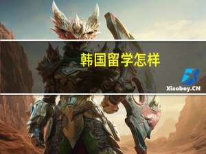 韩国留学怎样