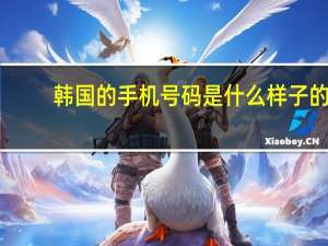 韩国的手机号码是什么样子的（韩国的手机号码是几位数）