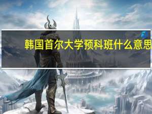 韩国首尔大学预科班什么意思