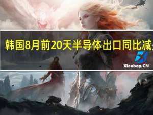 韩国8月前20天半导体出口同比减少24.7%
