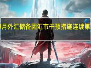韩国9月外汇储备因汇市干预措施连续第二个月下降