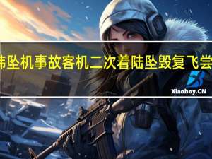 韩坠机事故客机二次着陆坠毁 复飞尝试失败
