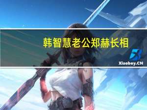 韩智慧老公郑赫长相（韩智慧老公）