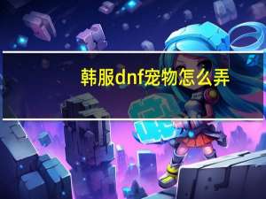韩服dnf宠物怎么弄
