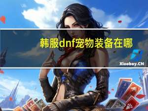 韩服dnf宠物装备在哪