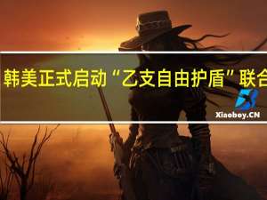 韩美正式启动“乙支自由护盾”联合军演
