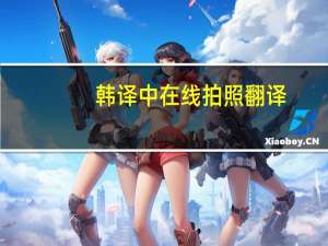 韩译中在线拍照翻译（韩译中在线翻译）