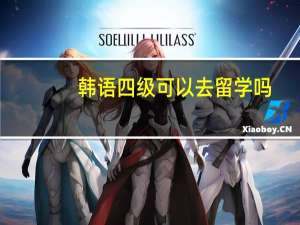 韩语四级可以去留学吗