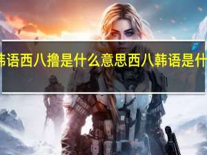 韩语西八撸是什么意思 西八韩语是什么意思