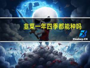 韭菜一年四季都能种吗