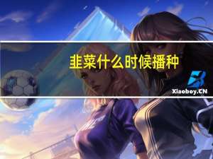 韭菜什么时候播种：一般春天种植