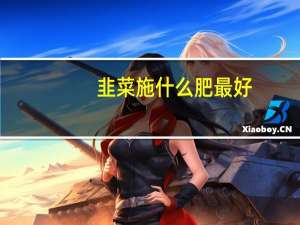 韭菜施什么肥最好