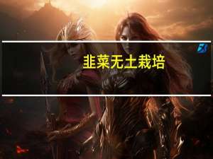 韭菜无土栽培：不能缺少光照