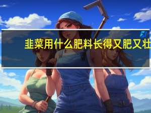 韭菜用什么肥料长得又肥又壮