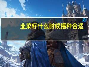 韭菜籽什么时候播种合适