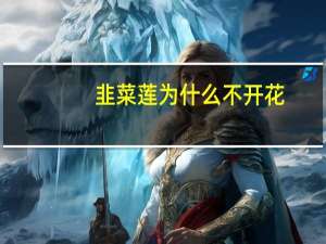 韭菜莲为什么不开花