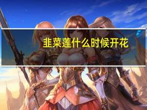 韭菜莲什么时候开花