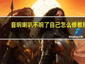 音响喇叭不响了自己怎么修教程