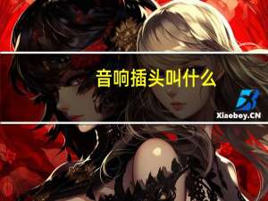 音响插头叫什么