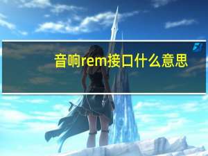 音响rem接口什么意思