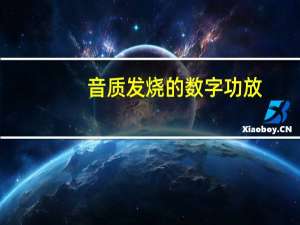 音质发烧的数字功放（音质最好的数字功放）