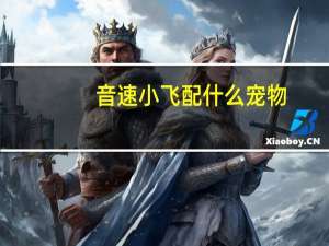 音速小飞配什么宠物