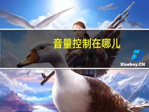 音量控制在哪儿（音量控制在哪）