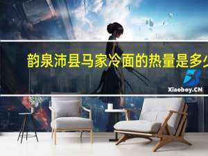 韵泉 沛县马家冷面的热量是多少