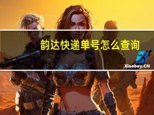 韵达快递单号怎么查询（韵达快递单号怎么查询）
