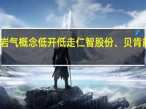 页岩气概念低开低走 仁智股份、贝肯能源跌停