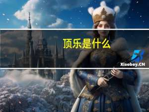 顶乐是什么