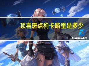 顶喜 斑点狗卡路里是多少