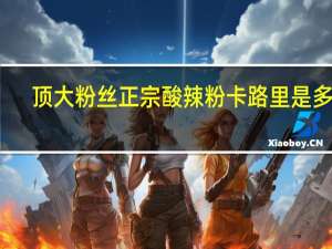 顶大 粉丝正宗酸辣粉卡路里是多少