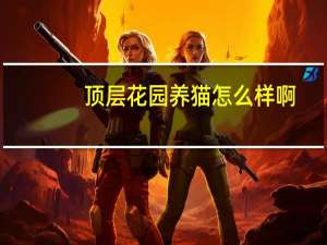 顶层花园养猫怎么样啊
