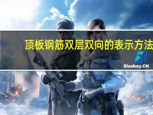 顶板钢筋双层双向的表示方法