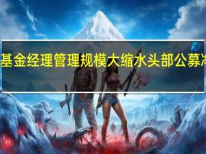 顶流基金经理管理规模大缩水头部公募净利润下滑