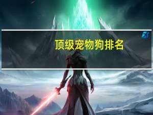 顶级宠物狗排名