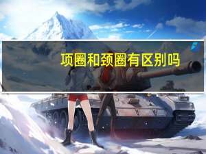 项圈和颈圈有区别吗