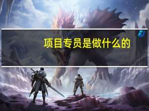 项目专员是做什么的