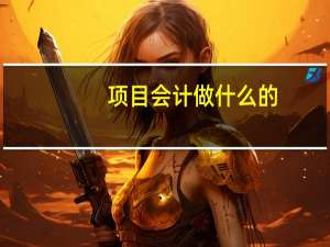 项目会计做什么的