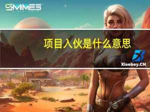 项目入伙是什么意思