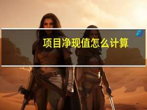 项目净现值怎么计算