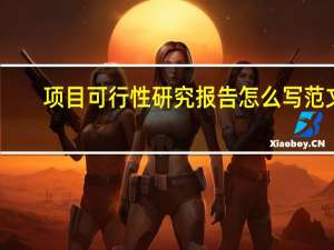 项目可行性研究报告怎么写范文（项目可行性研究报告怎么写）