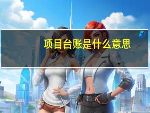 项目台账是什么意思