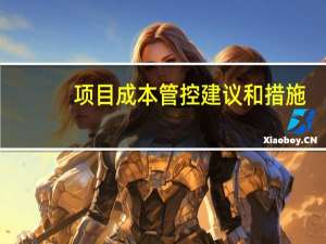 项目成本管控建议和措施