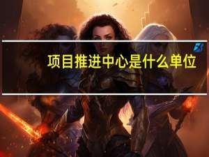 项目推进中心是什么单位