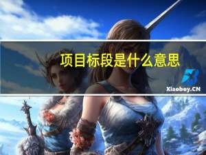 项目标段是什么意思（标段是什么意思）